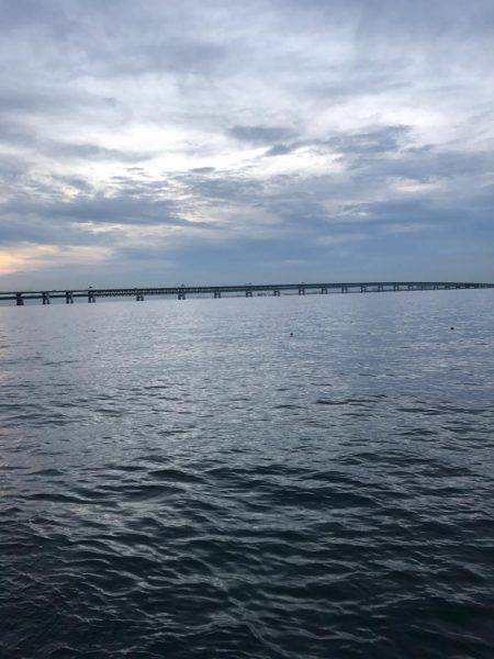 調子乗ってアジング