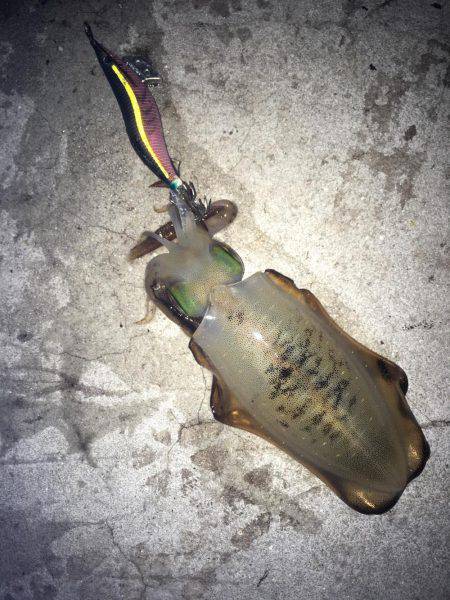 サイズに恵まれなく