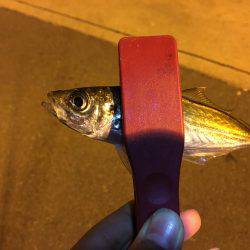 練習練習、ランガンアジング