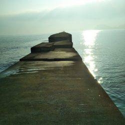 阿南市の辰巳でタチウオ好調