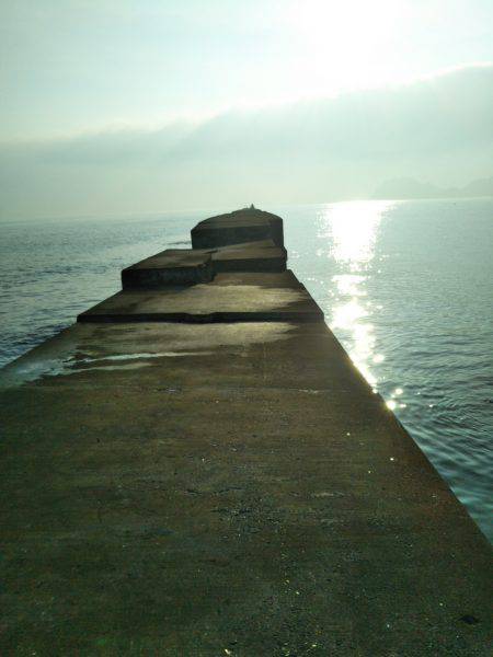 阿南市の辰巳でタチウオ好調