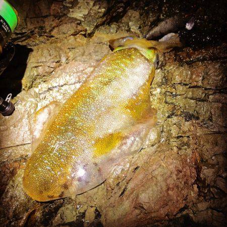 リベンジ果たせず…