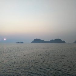 阿南市の辰巳でタチウオ好調