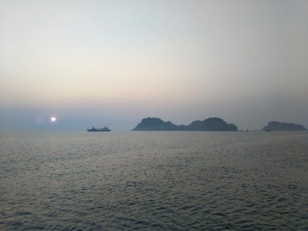 阿南市の辰巳でタチウオ好調