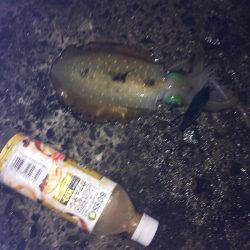 ややいいサイズ