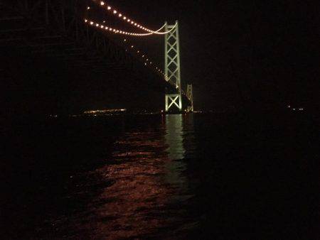 コウイカとタコ