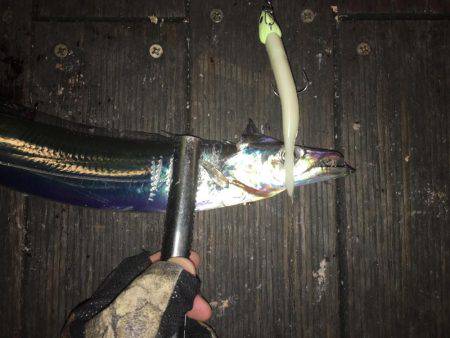 大阪奥湾ワインド ワインドチェイス