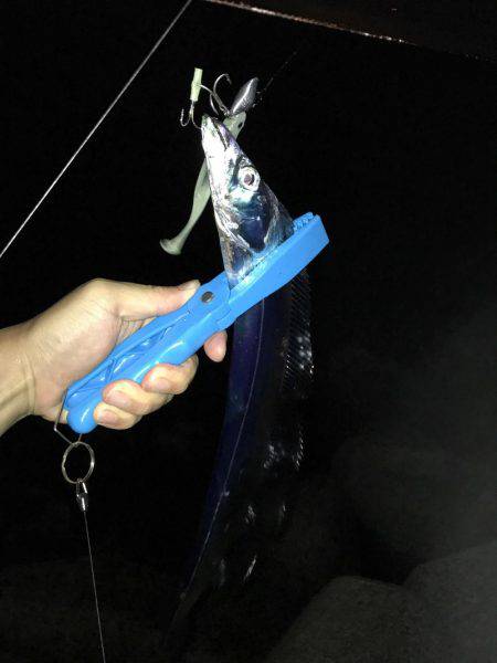 仕事帰りにワインド