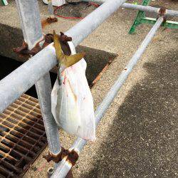 久しぶりの平日休み