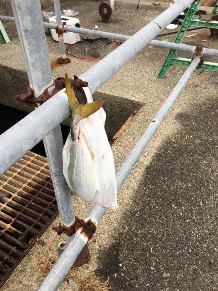 久しぶりの平日休み