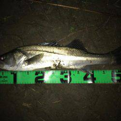 落ち鮎パターン