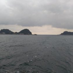 阿南市の辰巳でタチウオ好調