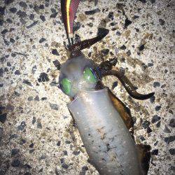 癒されに行ったはずが!