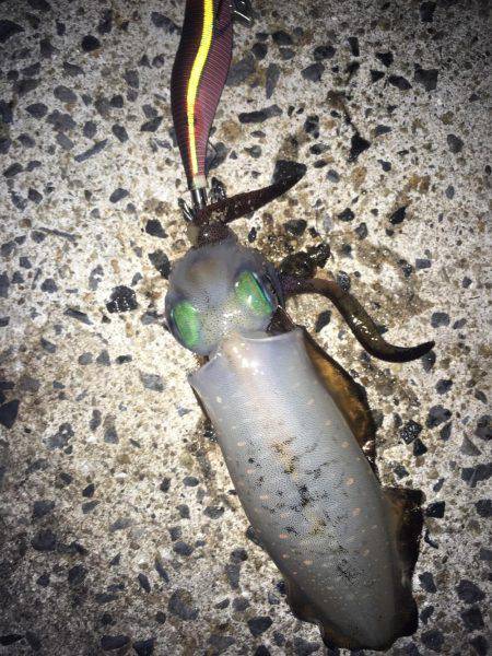 癒されに行ったはずが!