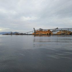 ハゼしか釣れない…