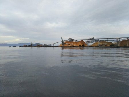 ハゼしか釣れない…