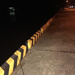 テンヤでタチウオ