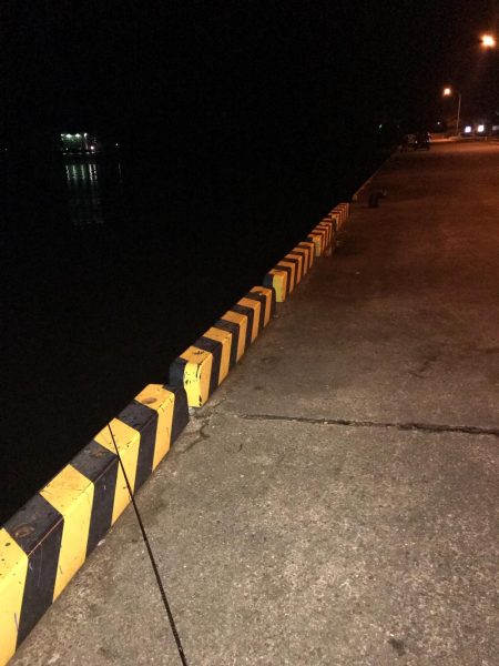 テンヤでタチウオ