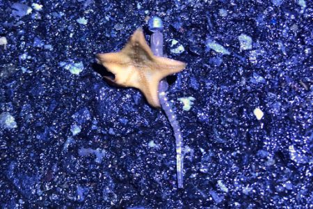 苦手ポイントで納得の釣果