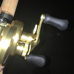 サヨリパターン