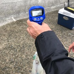 練習と称したチョイ釣りのつもりが、、