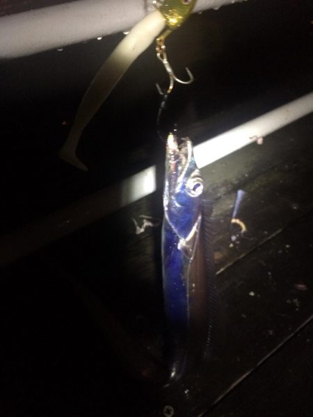 サイズアップを期待