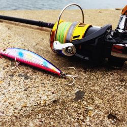 雨あがりのシーバスフィッシング!