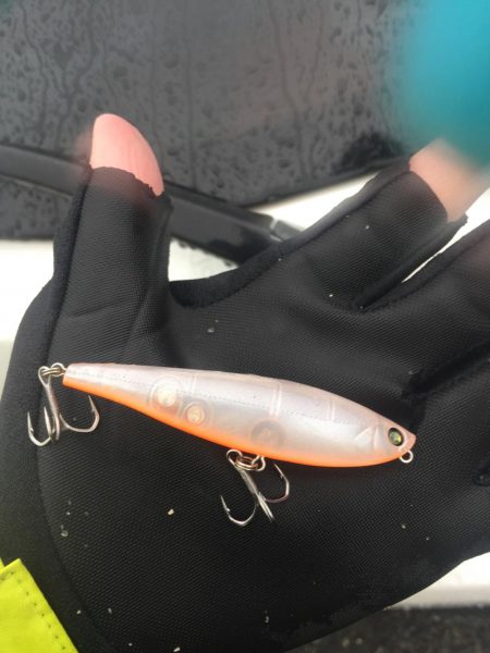 朝明川 ウェーディング