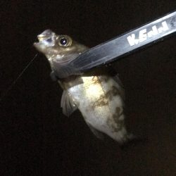 土砂降りでしたが楽しめました。