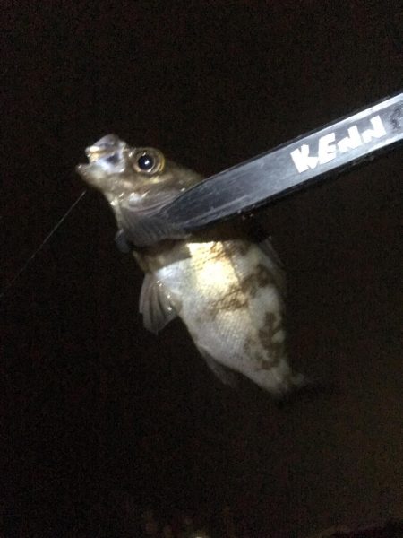 土砂降りでしたが楽しめました。