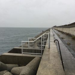 ショアジギング