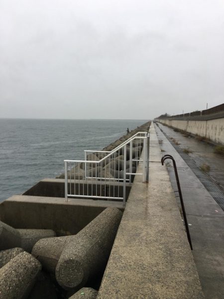 ショアジギング