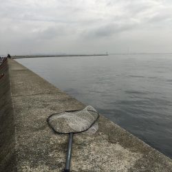 3ヒット2キャッチ 新ロッド入魂