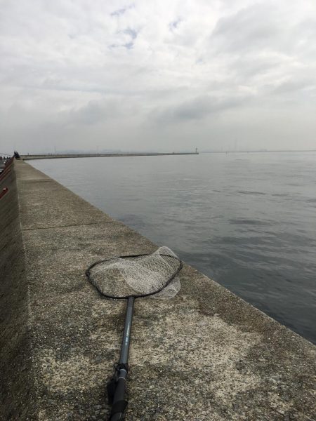 3ヒット2キャッチ 新ロッド入魂