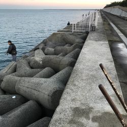 寒くなってきました