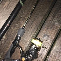 ニューロッドに鱗付！ アジング