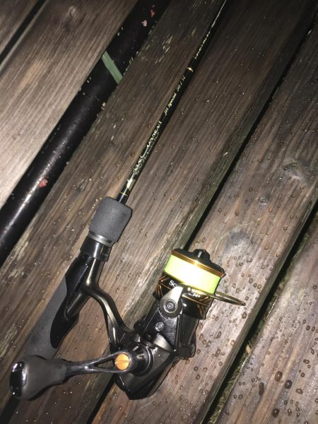 ニューロッドに鱗付！ アジング