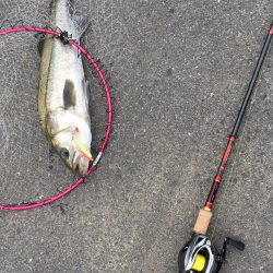 まさかの投げ練中のヒット！