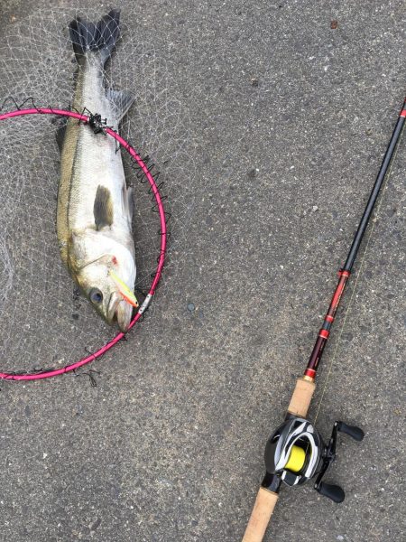 まさかの投げ練中のヒット！