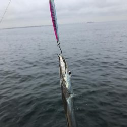 寒すぎルンデス