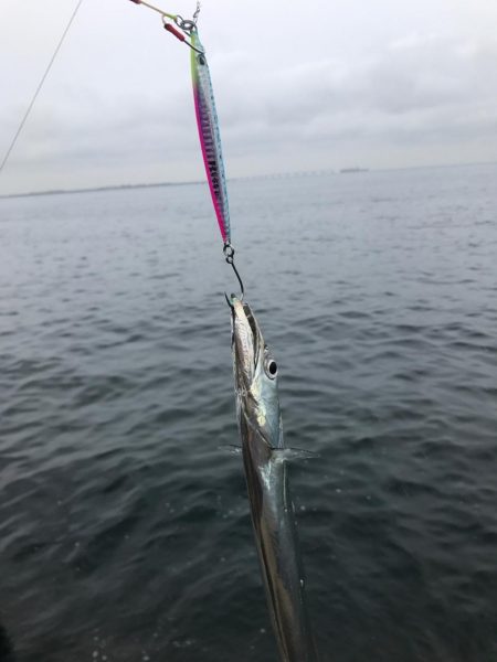 寒すぎルンデス