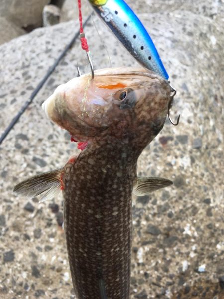 茶色いのんやけど