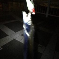 小雨の中の釣行