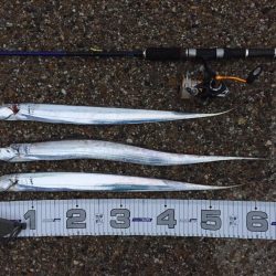 風が強くなってきました