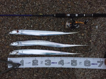 風が強くなってきました