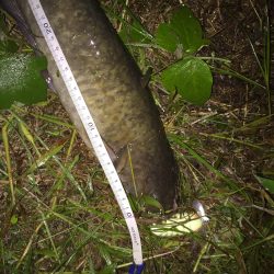 テスト勉強の息抜き。