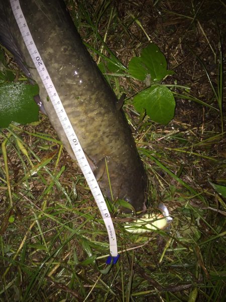 テスト勉強の息抜き。