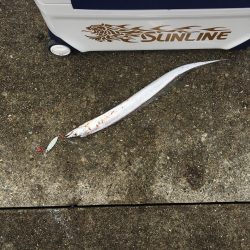 ポーアイ沖堤ショアジギング