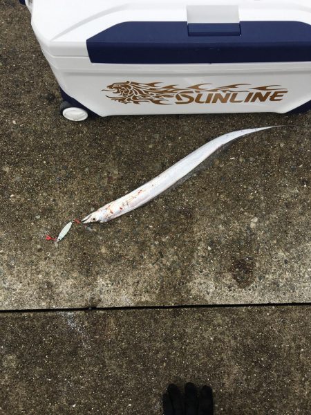 ポーアイ沖堤ショアジギング