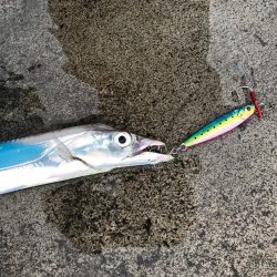 昼太刀イレブン